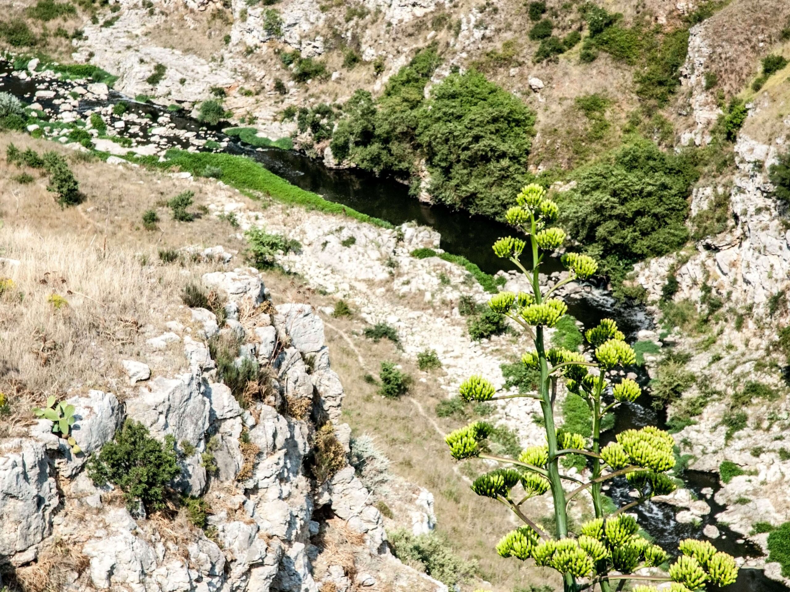 Gravina di Picciano