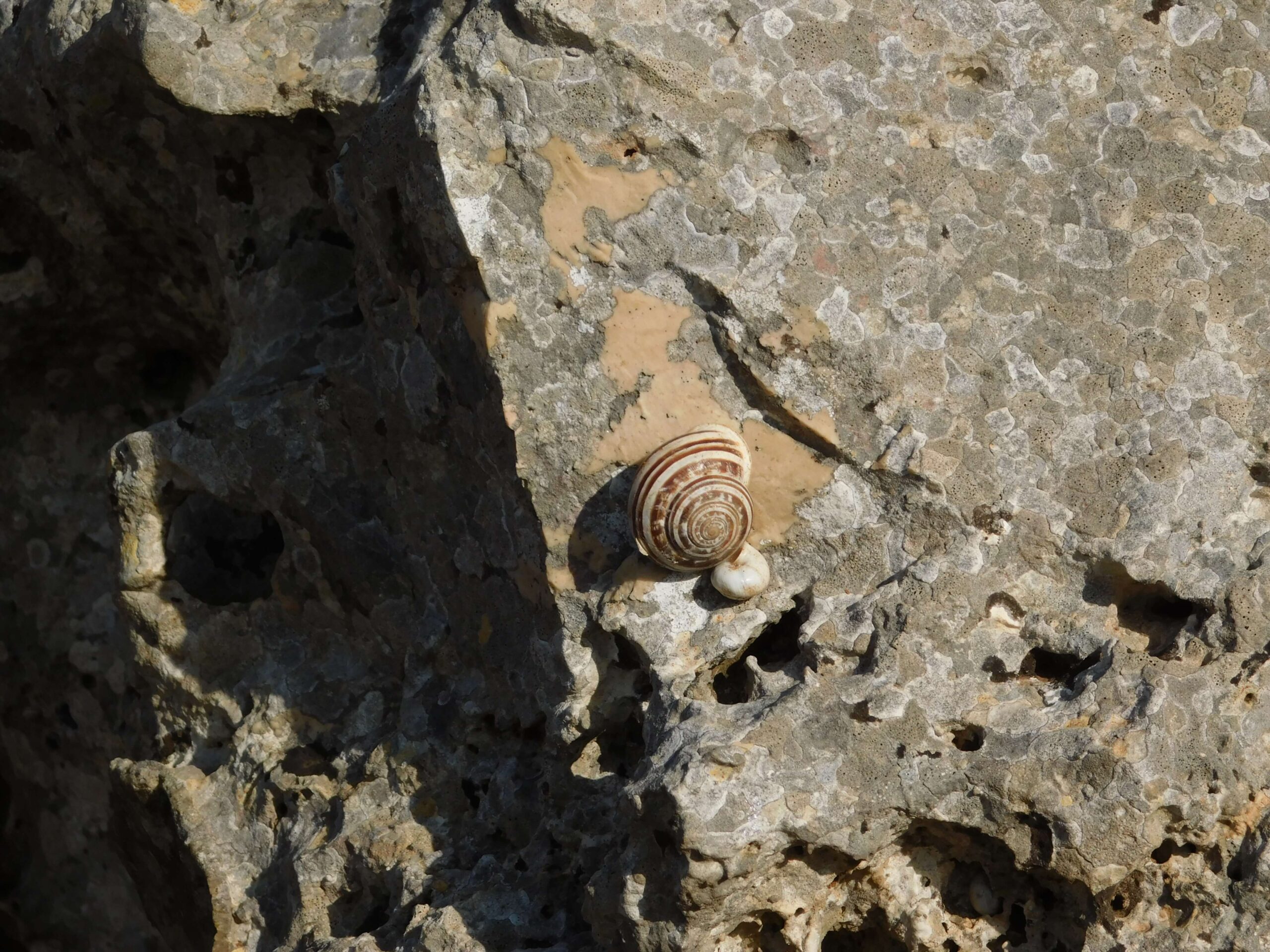 Parco Alta Murgia